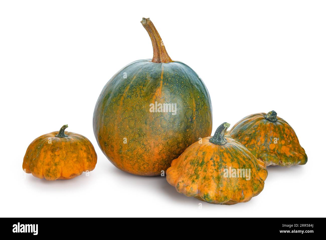 Different fresh pumpkins on white background Stock Photo - Alamy