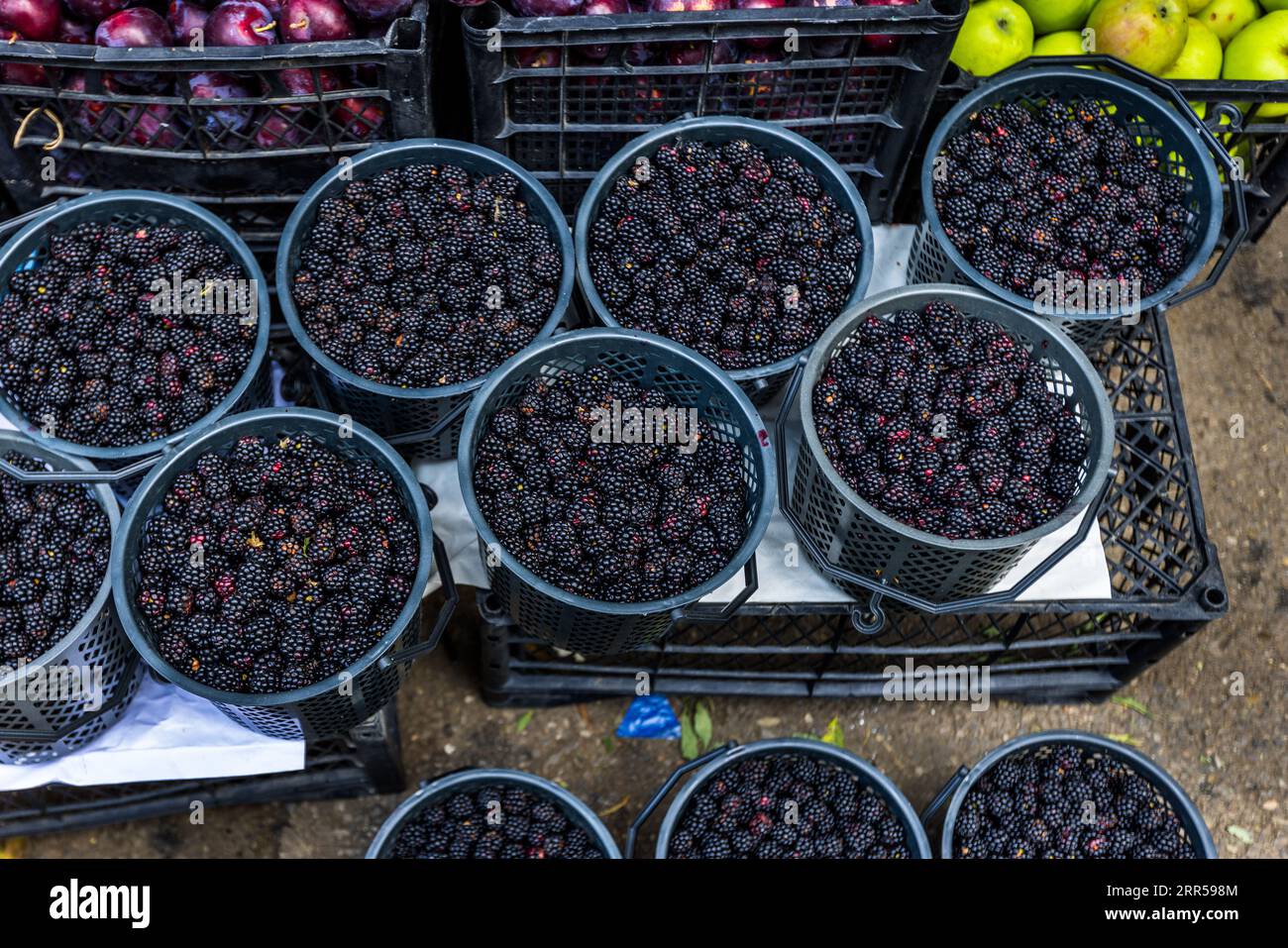 Bucket full of blackberries at a market in Tbilisi, Stock Photo