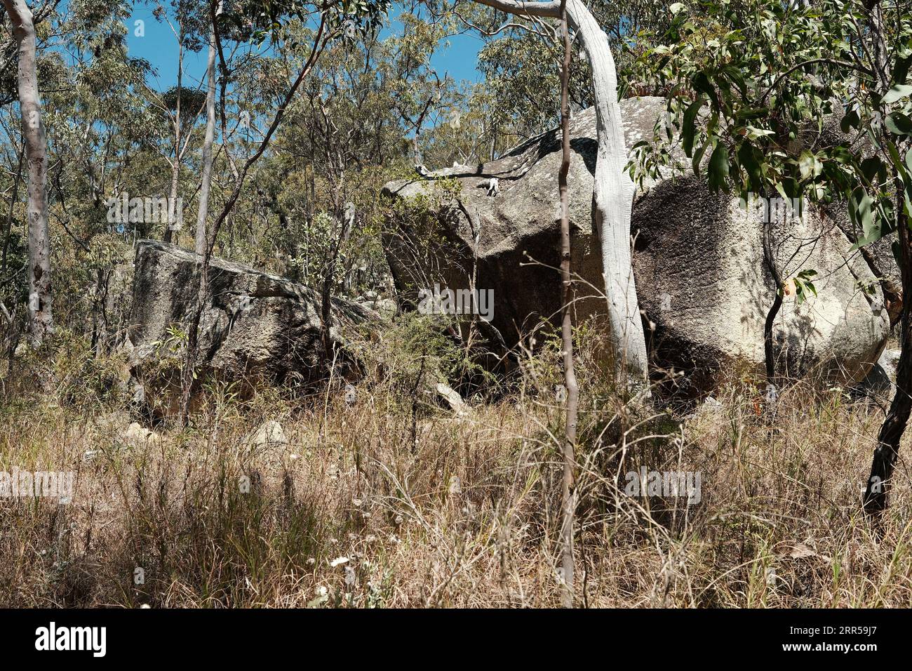 a rocky outback scene with a granite rock Stock Photo