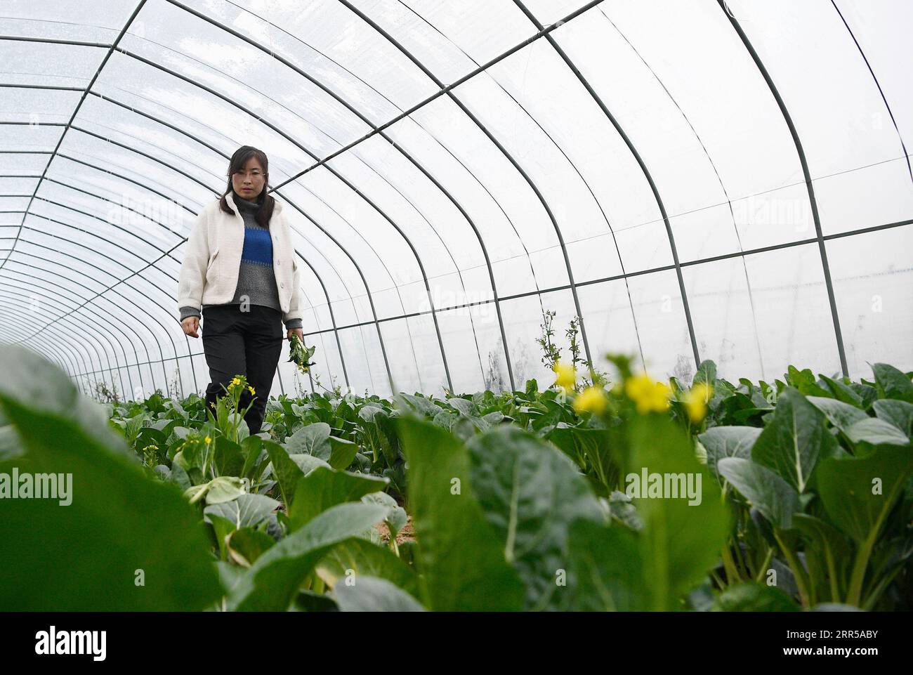 【あお】 YONEXゲームシャツ静岡バドミントン ヨネックスウエアカタログ