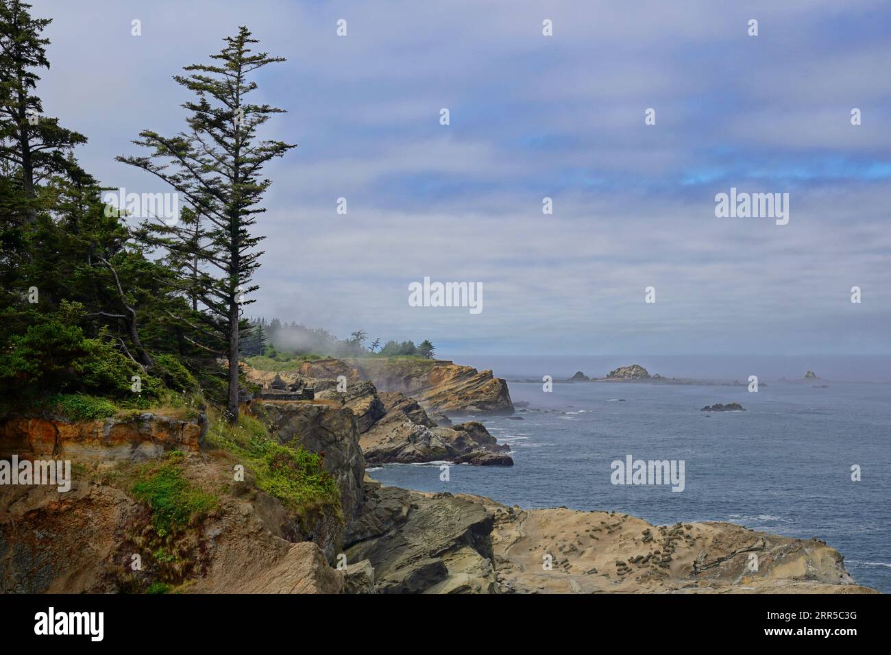 Dramatic Oregon coast at Shore Acres State Park Stock Photo