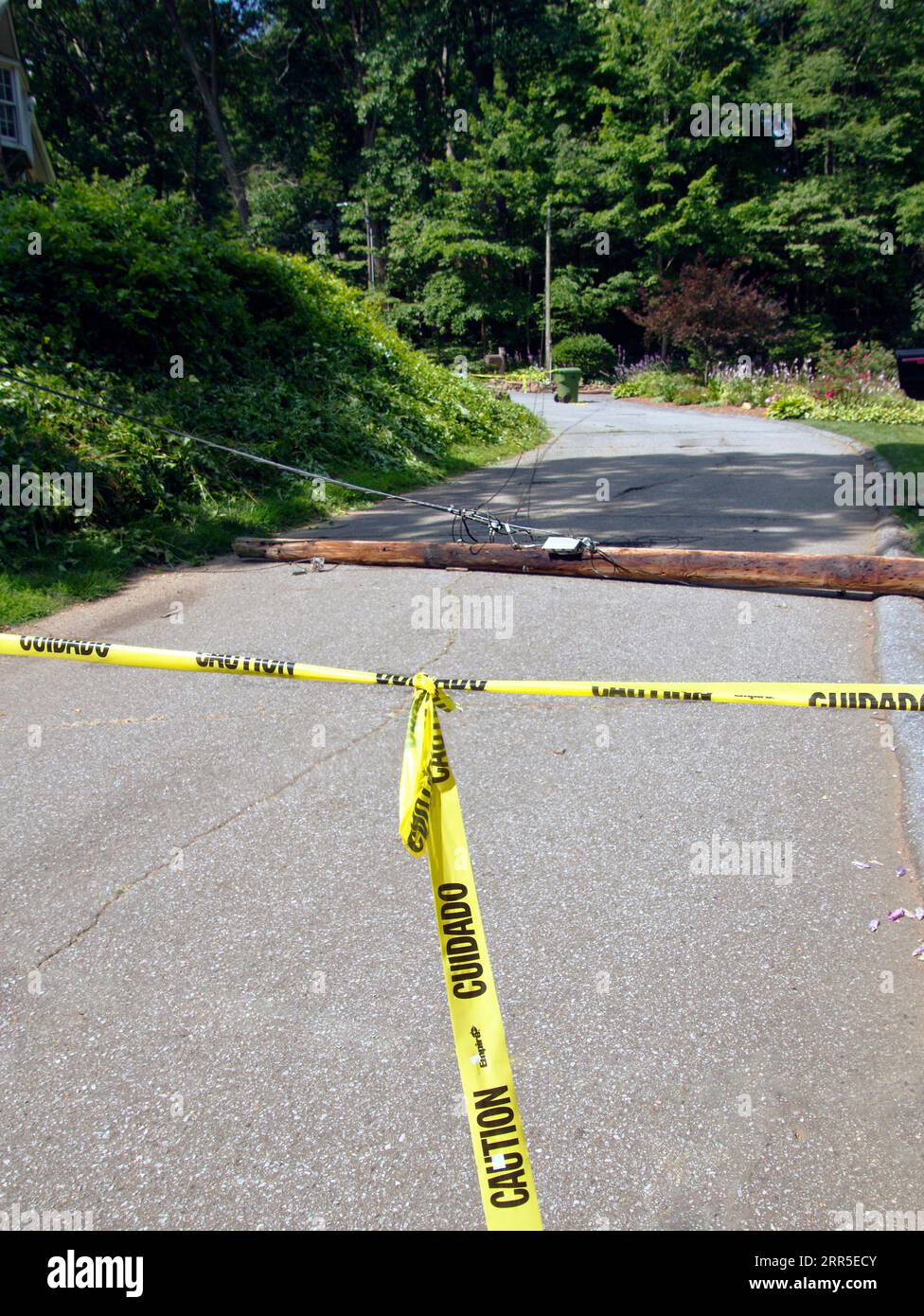 Telephone Pole with wires still attached to other poles fallen down
