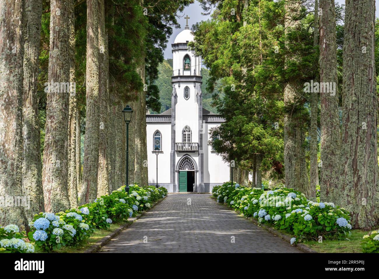 Igreja de São Nicolau or Saint Nicholas Church framed by plane trees and blooming hydrangea shrubs in the historic village of Sete Cidades, Sao Miguel, Azores, Portugal. The church, built in 1857 is located in the center of a massive volcanic crater three miles across. Stock Photo