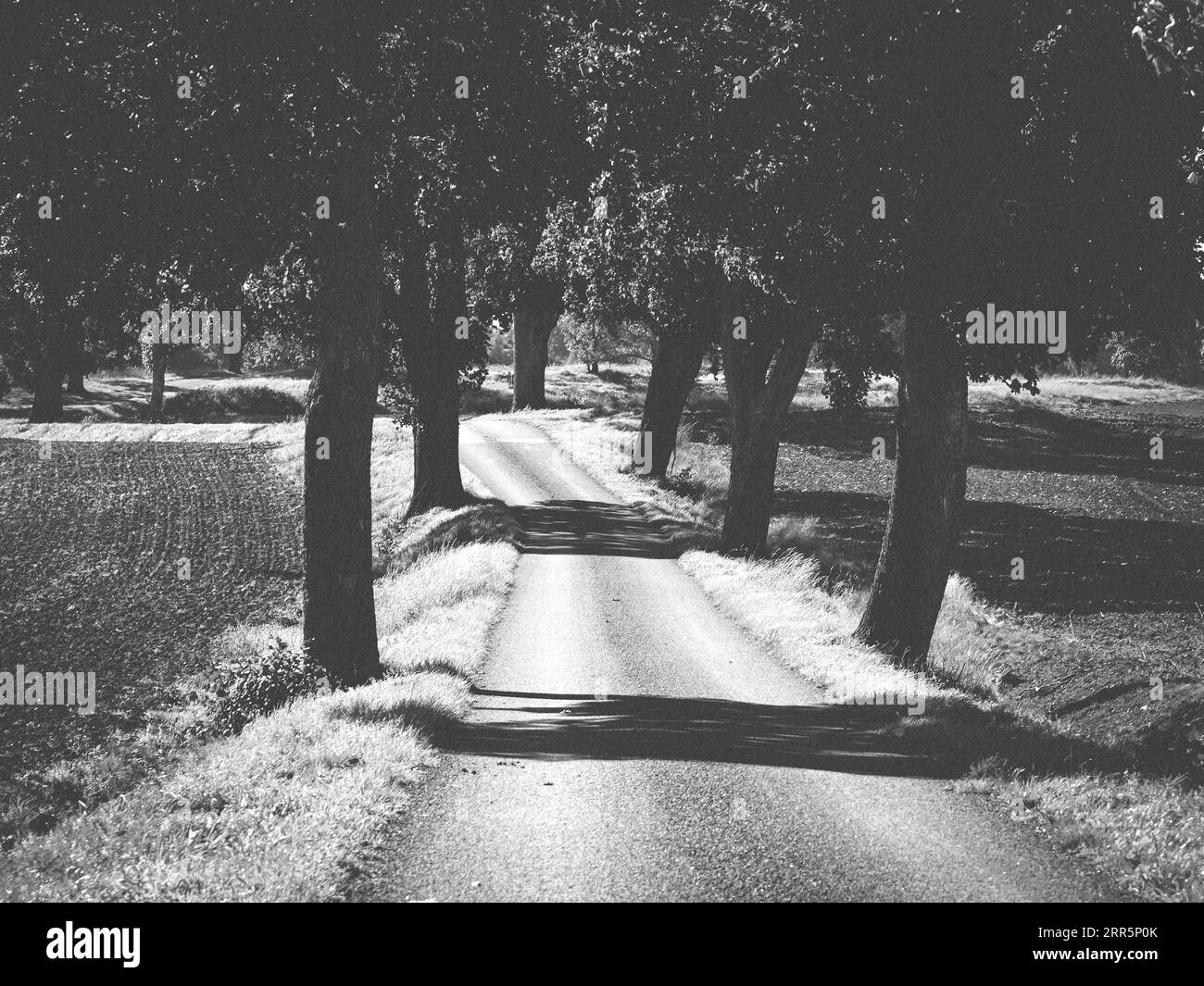 Road shade Black and White Stock Photos & Images - Alamy