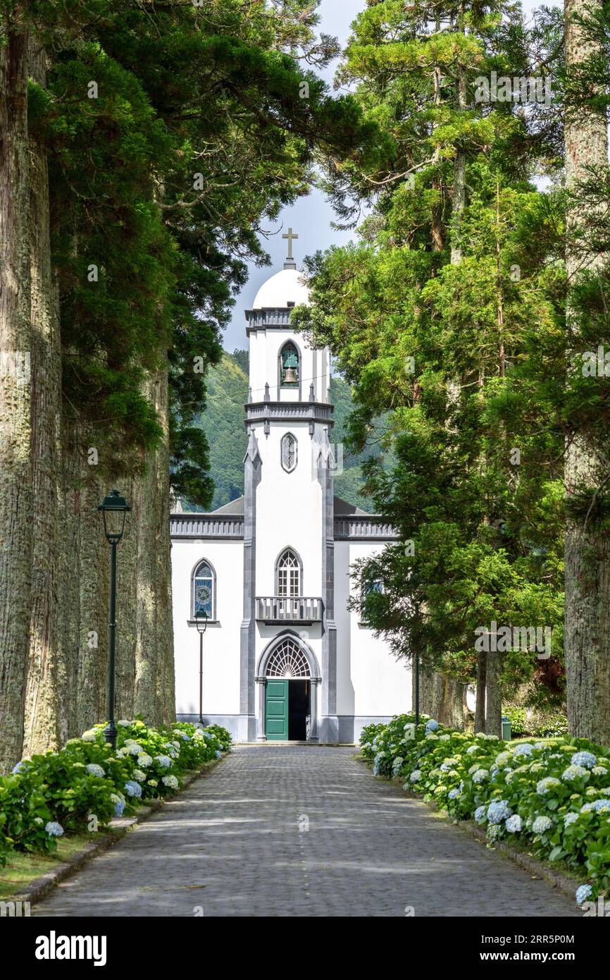 Igreja de São Nicolau or Saint Nicholas Church framed by plane trees and blooming hydrangea shrubs in the historic village of Sete Cidades, Sao Miguel, Azores, Portugal. The church, built in 1857 is located in the center of a massive volcanic crater three miles across. Stock Photo