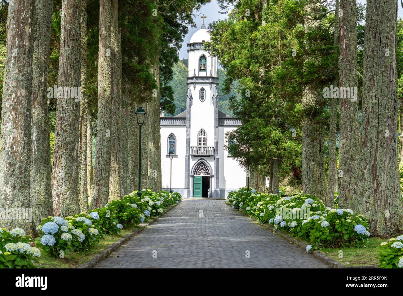 Igreja de São Nicolau or Saint Nicholas Church framed by plane trees and blooming hydrangea shrubs in the historic village of Sete Cidades, Sao Miguel, Azores, Portugal. The church, built in 1857 is located in the center of a massive volcanic crater three miles across. Stock Photo