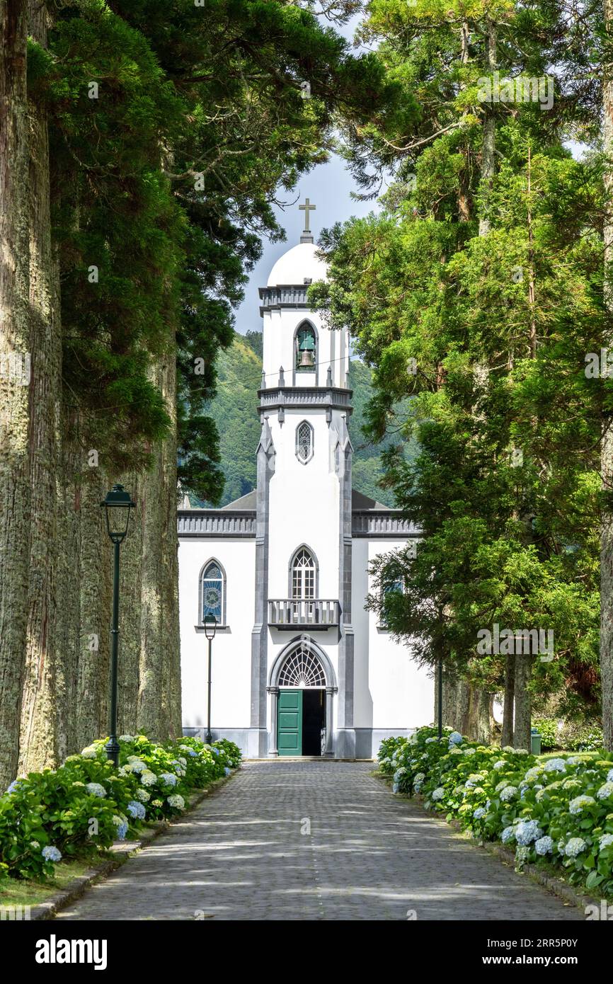 Igreja de São Nicolau or Saint Nicholas Church framed by plane trees and blooming hydrangea shrubs in the historic village of Sete Cidades, Sao Miguel, Azores, Portugal. The church, built in 1857 is located in the center of a massive volcanic crater three miles across. Stock Photo