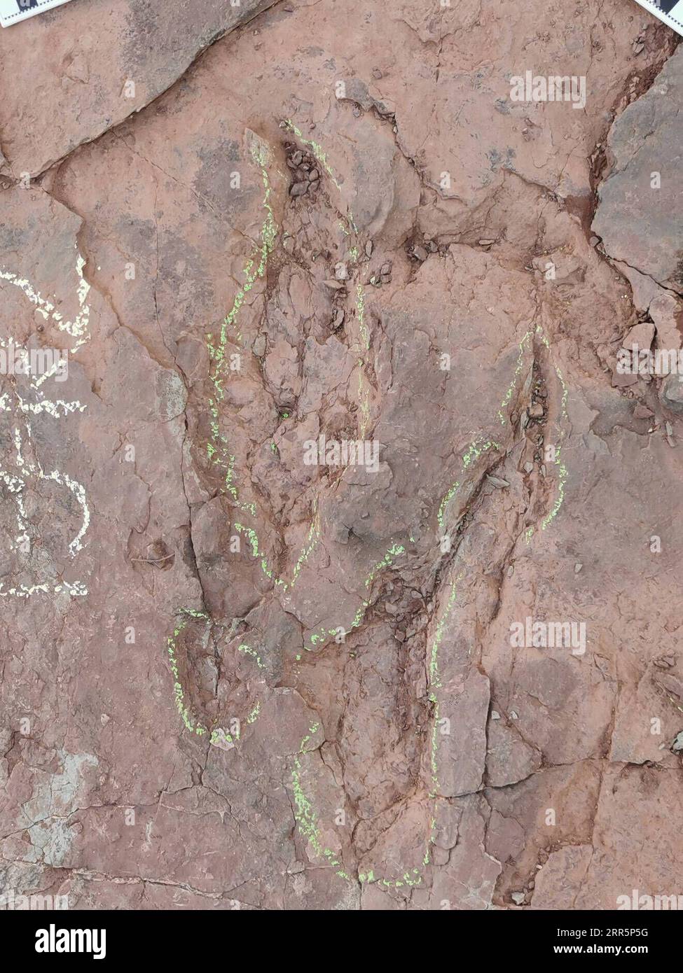 210112 -- FUZHOU, Jan. 12, 2021  -- A dinosaur footprint is seen at Longxiang Village, Lincheng Township, Shanghang County, Longyan City of southeast China s Fujian Province, Nov. 10, 2020. A team of Chinese paleontologists has identified more than 240 fossilized dinosaur footprints in east China s Fujian, the first traces of dinosaur activity found in the province. The dinosaur track site in Shanghang County, covering an area of about 1,600 square meters, is the largest and the most diverse such site discovered in China dating back to the Upper Cretaceous period, according to scientists. The Stock Photo