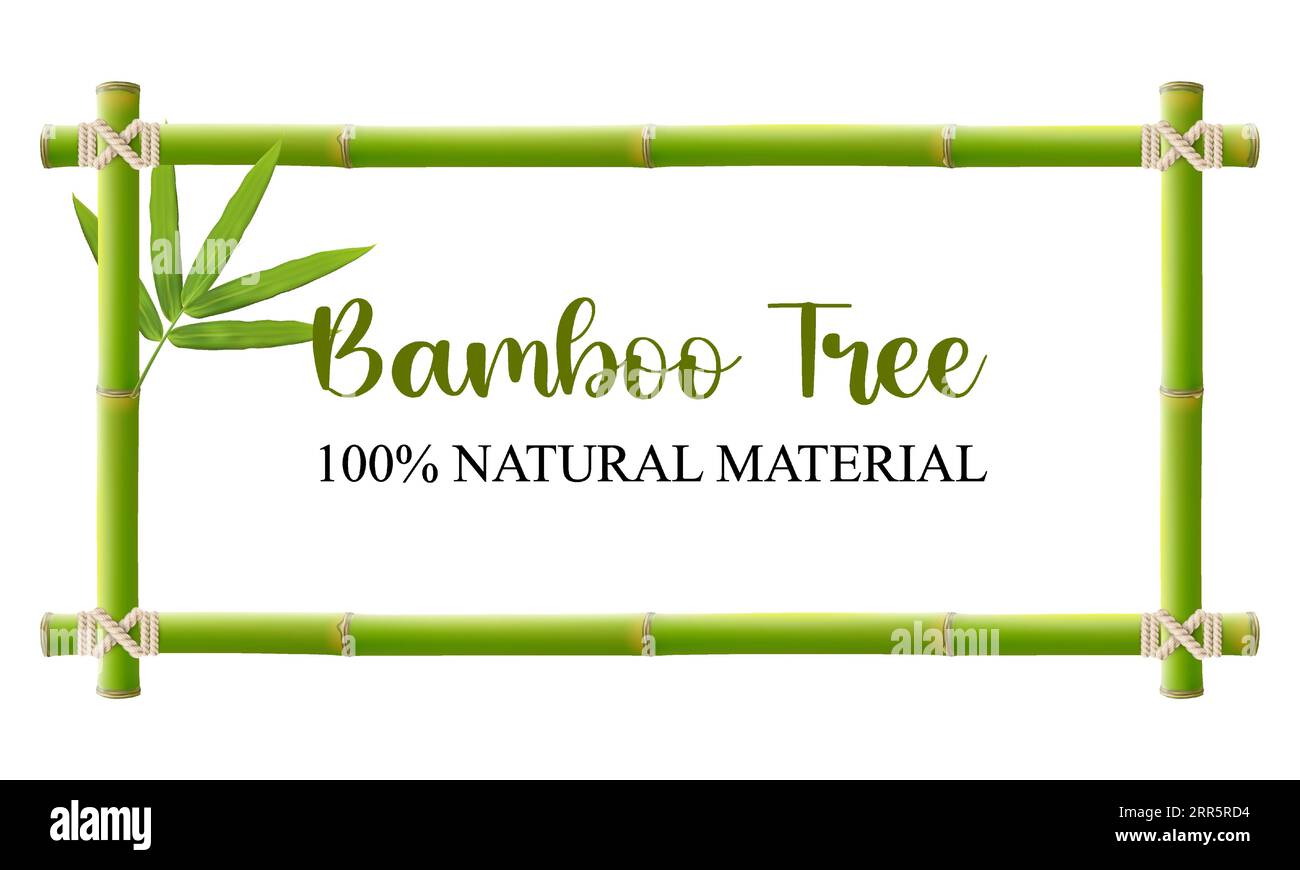 Bamboo tree frame. Bamboo sticks tied with rope into the frame. Wooden