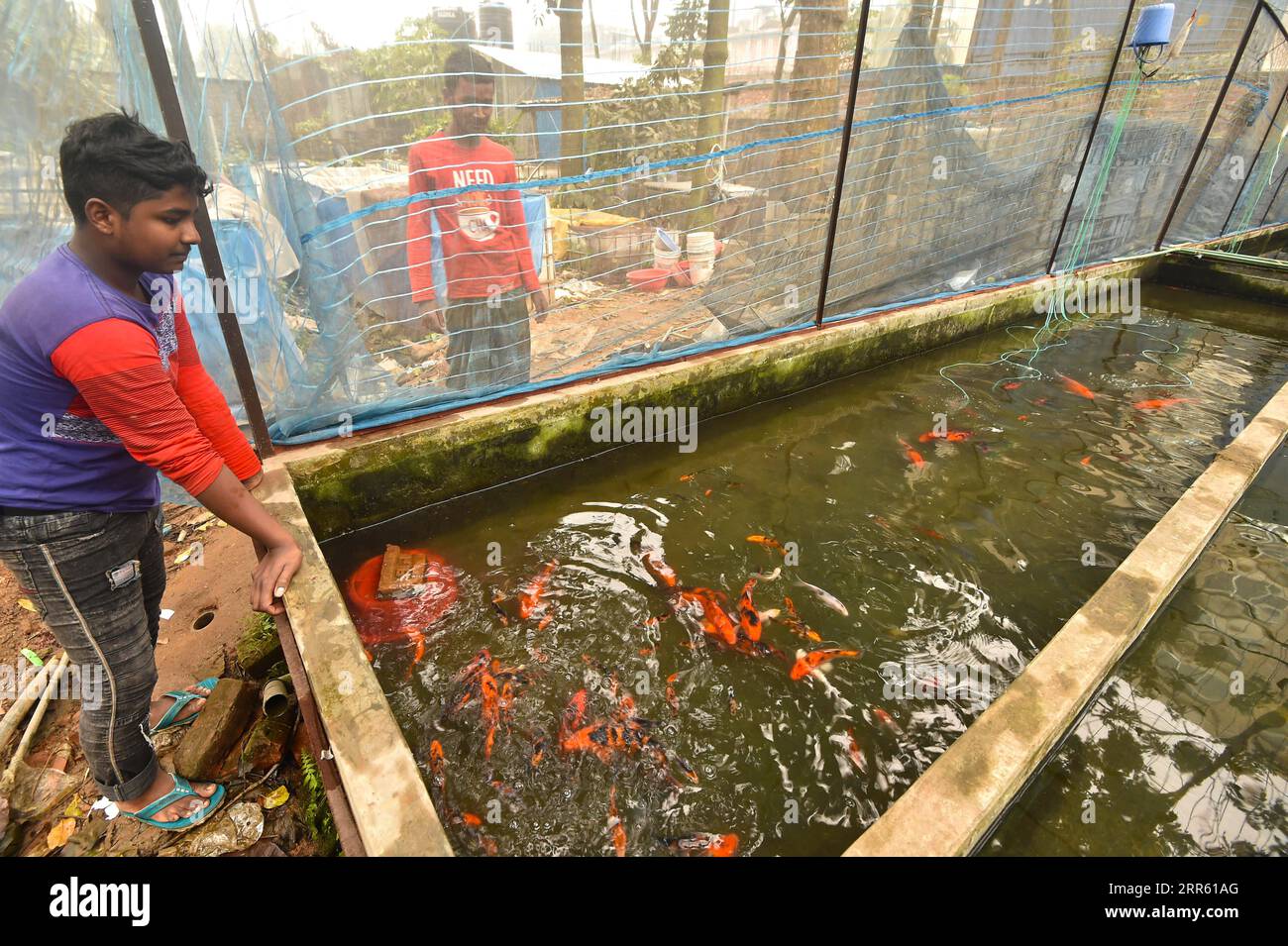 Fish breeding pond hi-res stock photography and images - Alamy