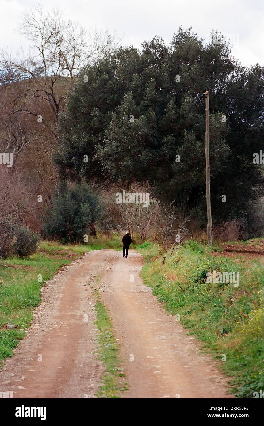 Rear view of elderly woman walking down rural road, Monchique, Portugal Stock Photo