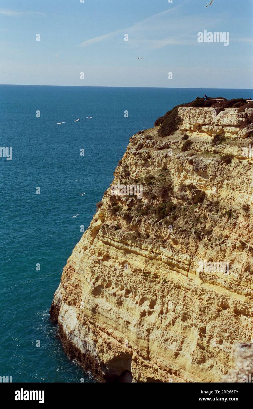 Seven Hanging Valleys Cliff with seagulls, Lagoa, Algarve, Portugal Stock Photo