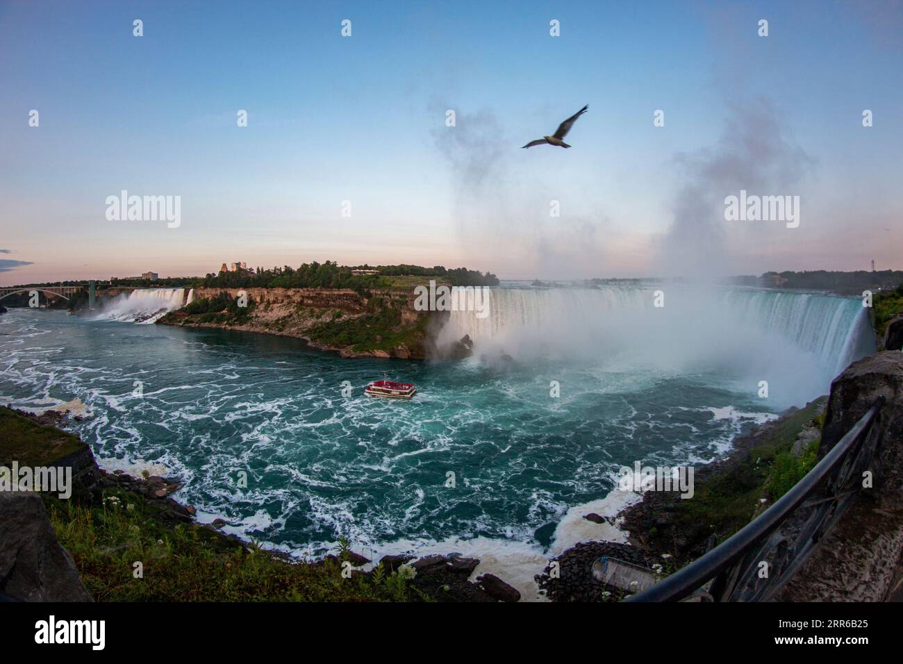 Fisheye view of Niagara Falls waterfalls with the maid of the mist below and a seagull flying above. Stock Photo