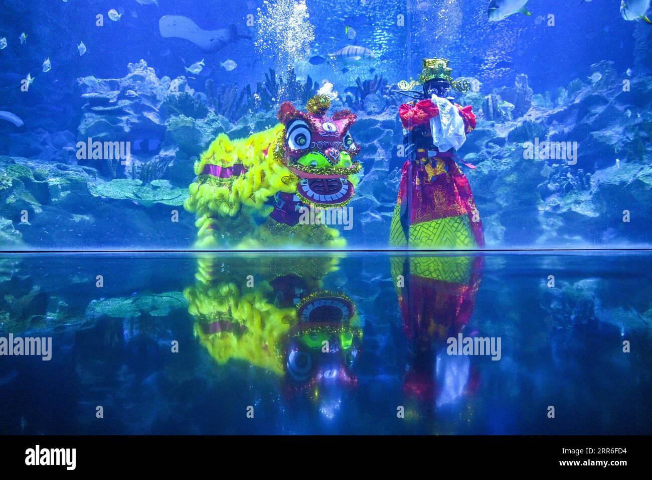 Klcc aquarium hires stock photography and images Alamy