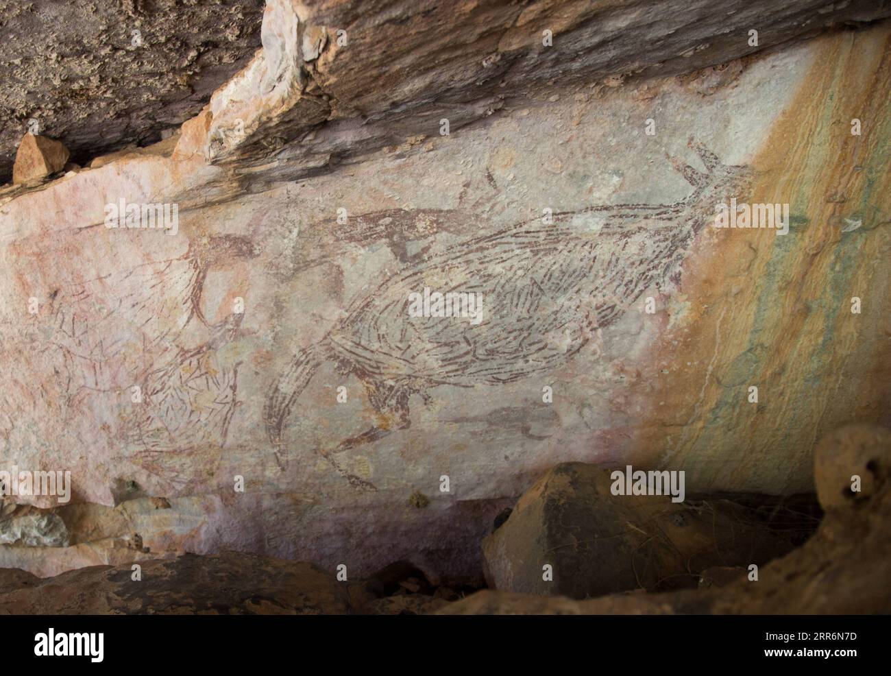 210223 -- SYDNEY, Feb. 23, 2021 -- File photo taken on July 15, 2016 shows a painting of a kangaroo in Kimberley region, Australia. A two-meter-long painting of a kangaroo in Western Australia s Kimberley region has been recognized as Australia s oldest intact rock painting, dating back 17,300 years. Naturalistic depictions of animals are a common subject for the world s oldest dated rock art. In a paper published in Nature Human Behavior on Tuesday, a research team led by the University of Melbourne used the radiocarbon dating of 27 mud wasp nests from 16 similar paintings in Kimberley to ide Stock Photo
