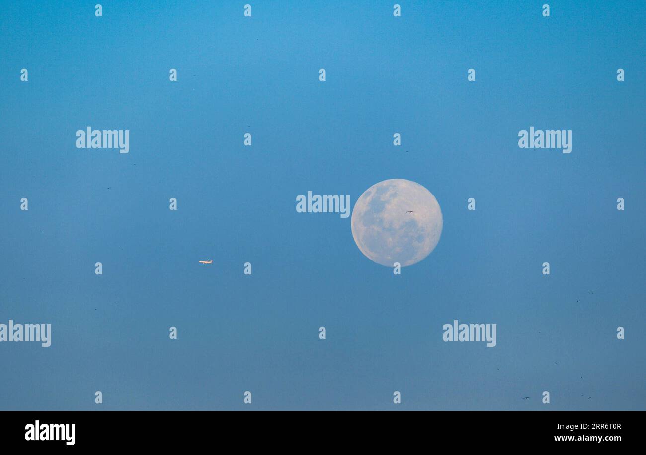 210227 NAIROBI, Feb. 27, 2021 Photo taken on Feb. 26, 2021 shows