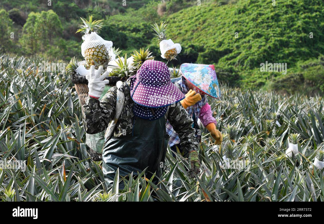 Longgun hi-res stock photography and images - Alamy