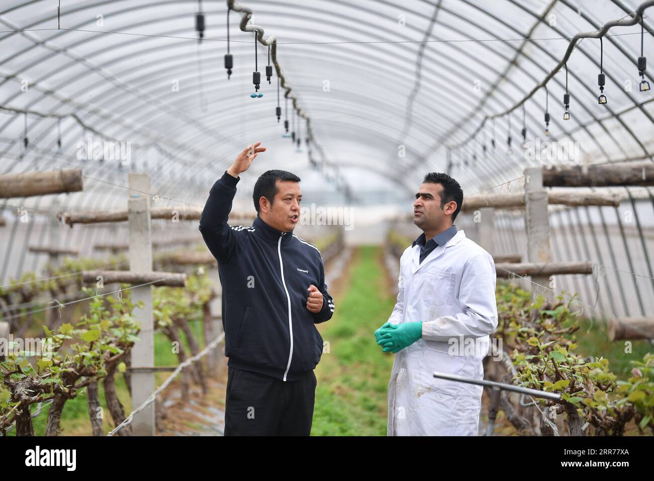 210318 -- XI AN, March 18, 2021 -- Abdul Ghaffar Shar R talks with staff member Li Haiping about irrigation equipment at a cooperative of Yangling agricultural hi-tech industrial demonstration zone in northwest China s Shaanxi Province, March 17, 2021. Abdul Ghaffar Shar, 30, is a Pakistani doctoral student in China s Northwest Agriculture and Forestry University NWAFU. Shar is doing plant nutrition research for his doctoral degree. After receiving his bachelor s degree in agriculture from Sindh Agriculture University in Pakistan in 2014, Shar decided to further his studies in China s NWAFU. S Stock Photo
