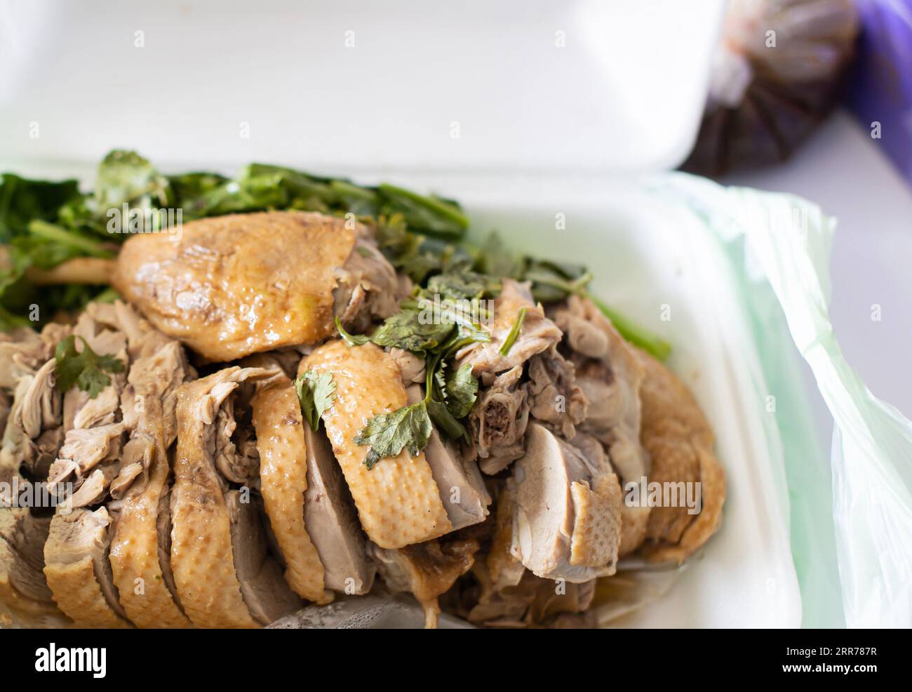 Braised Duck or Steamed Duck with Soy Sauce and Spices - Asian Style