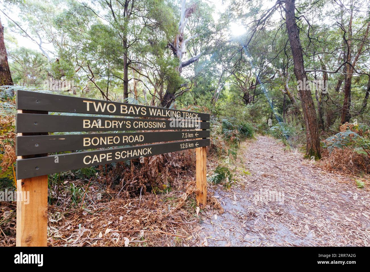 Part of the Two Bays Walking Track between Baldry's Crossing Picnic