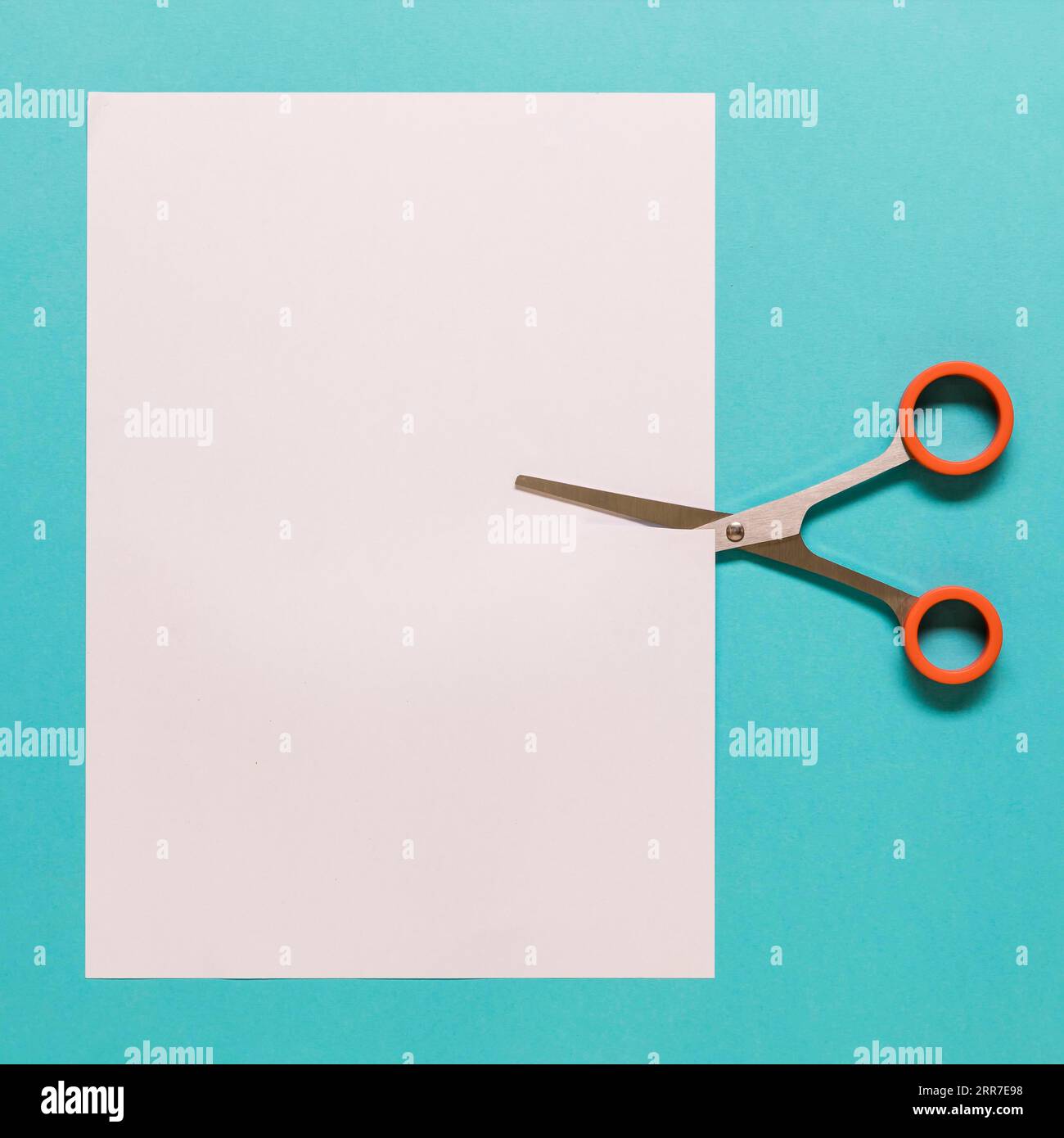 Scissors cutting paper blue background Stock Photo