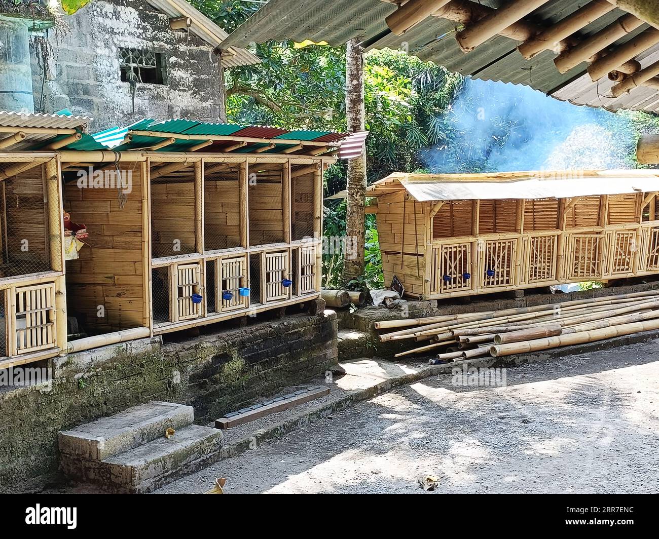 Newly-constructed bamboo chicken coop in a rural Balinese family compound. Bamboo is widely used for construction around Bali and the rest of Asia. Stock Photo