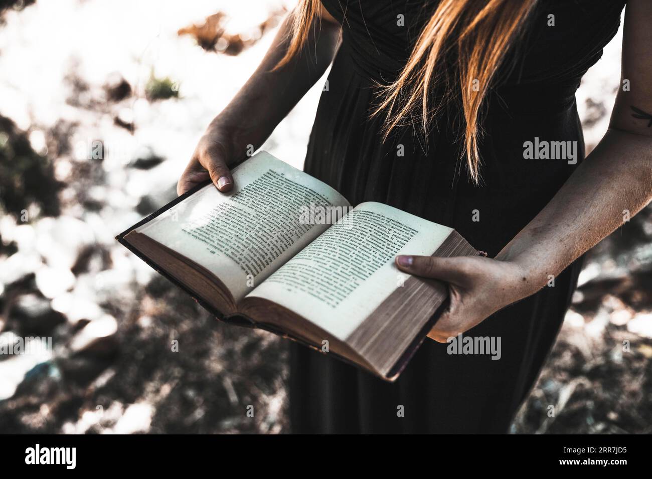 Female dress holding opened book woods daytime Stock Photo