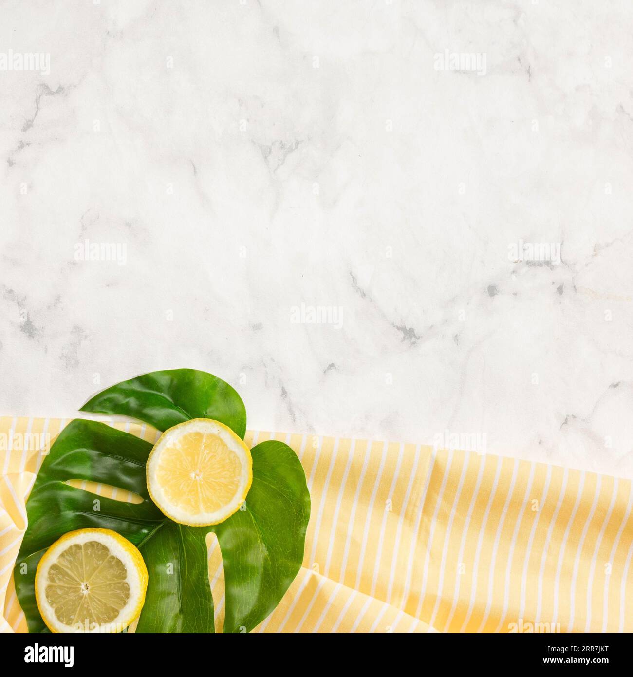 Lemon monstera leaf with copy space Stock Photo