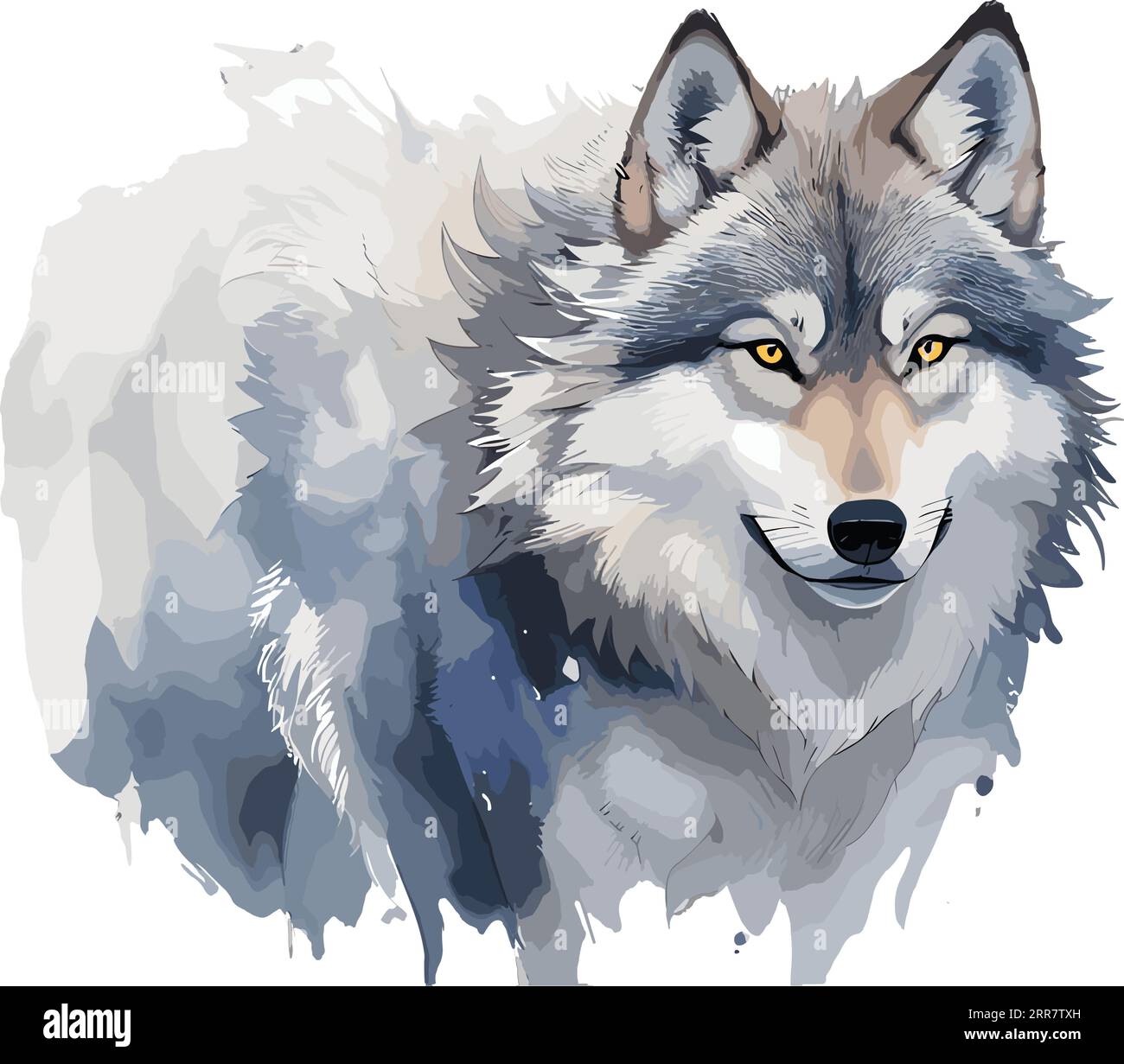 Portrait of a furious gray wolf. Angry wolf roaring isolated on