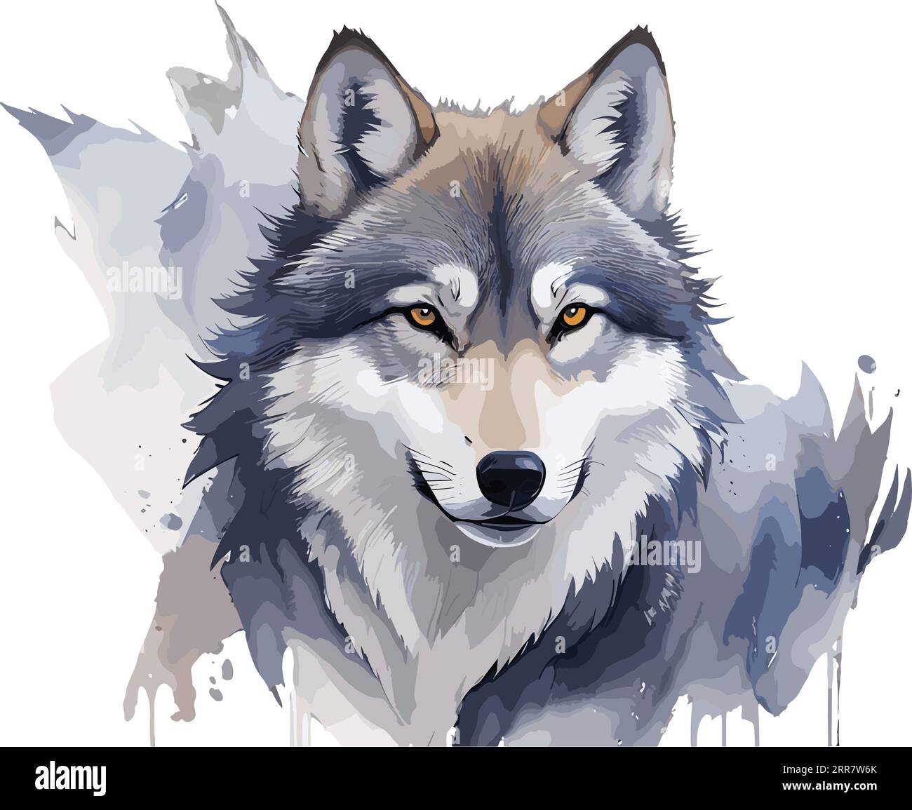 Portrait of a furious gray wolf. Angry wolf roaring isolated on