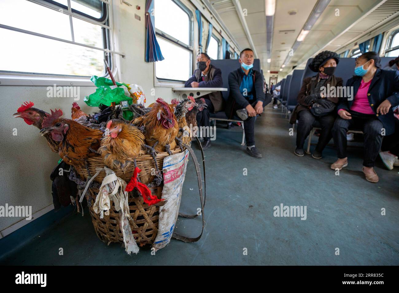 210415 -- XICHANG, April 15, 2021 -- Chickens for sale are seen on the 5633 train in southwest China s Sichuan Province, April 11, 2021. As modern high-speed trains shoot past new stations throughout China, a pair of slow-speed trains still run through Daliang Mountains. The 5633/5634 trains run between Puxiong and Panzhihua of Sichuan Province with an average speed less than 40 km per hour. The journey with 26 stations in between takes eleven hours and four minutes, with the ticket prices ranging from 2 yuan to 25.5 yuanabout 0.3-3.9 U.S. dollars. The slow-speed trains send children to their Stock Photo