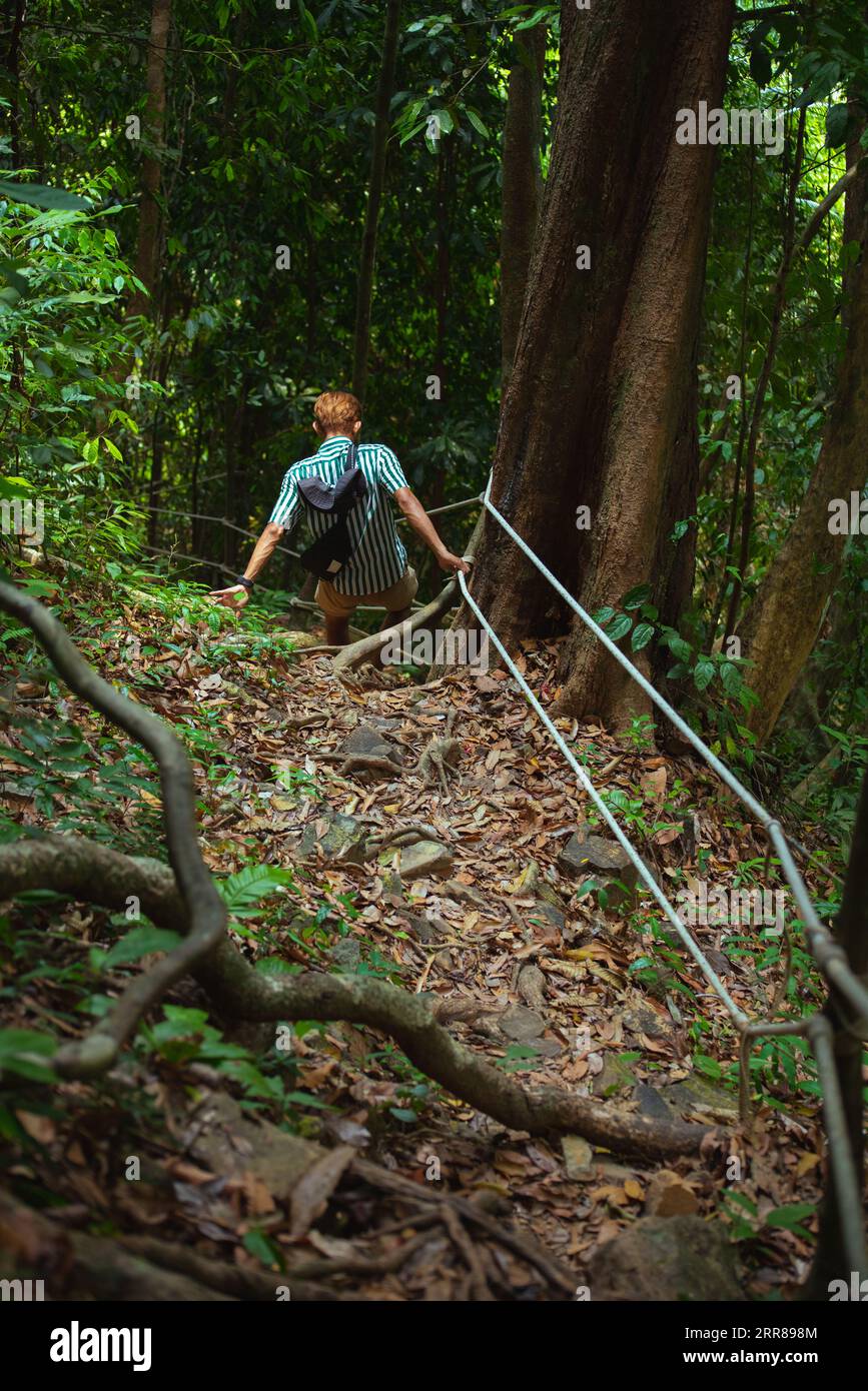 Man hikes in tropical forest hi-res stock photography and images - Alamy