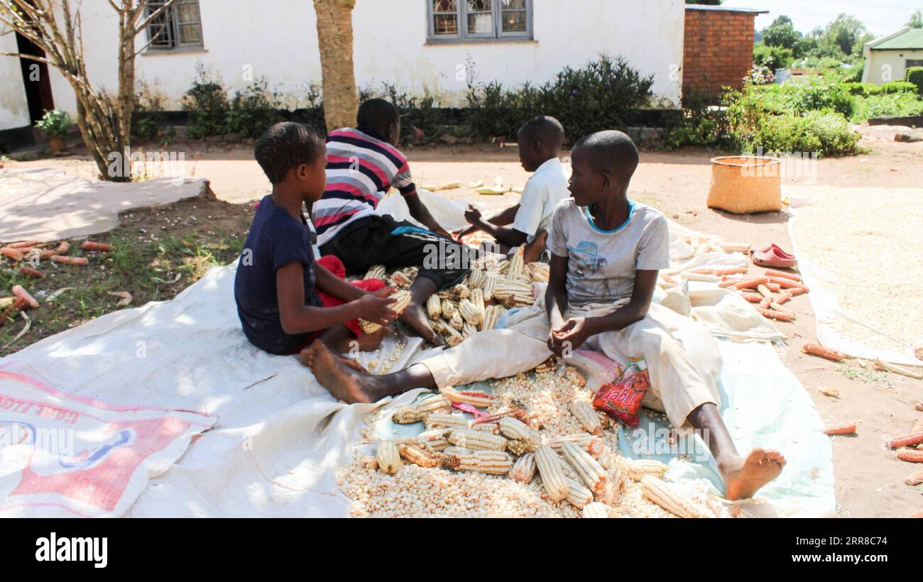Malawi maize shell hi-res stock photography and images - Alamy