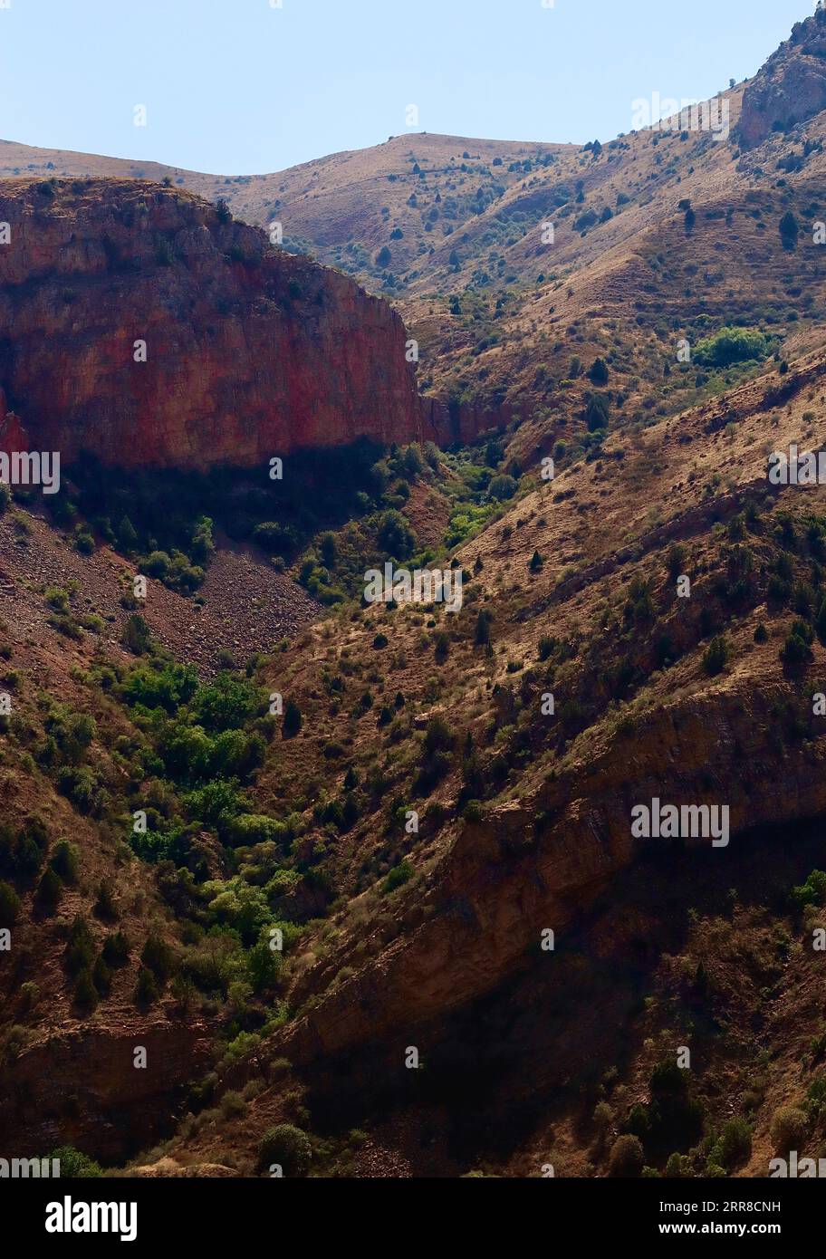Stock Image Ravine Shady ravine hi-res stock photography and images - Alamy