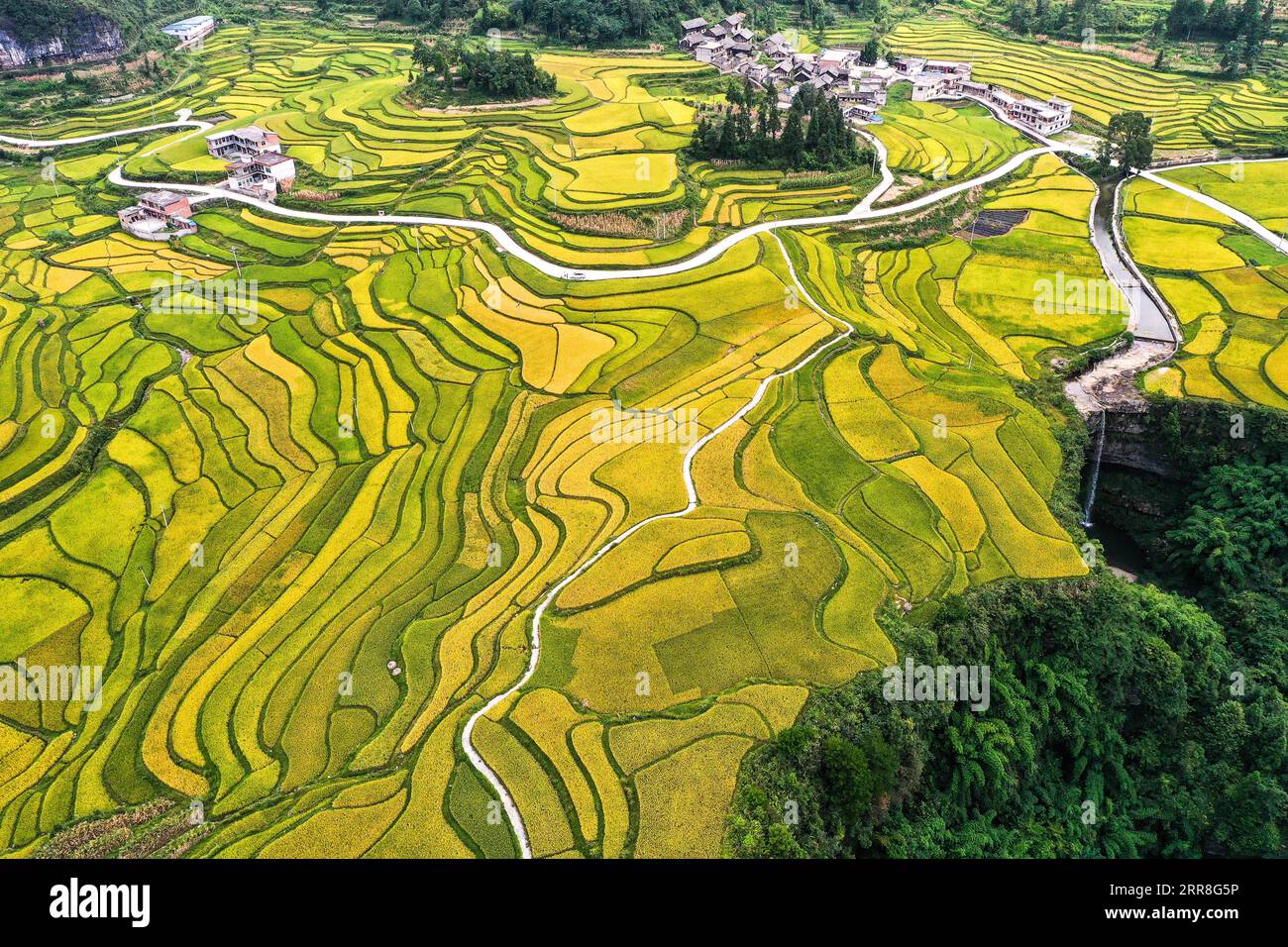 Guiding. 7th Sep, 2023. This aerial photo taken on Sept. 7, 2023 shows Lali terraced fields and nearby houses in Yanshan Township of Guiding County, southwest China's Guizhou Province. Credit: Yang Wenbin/Xinhua/Alamy Live News Stock Photo