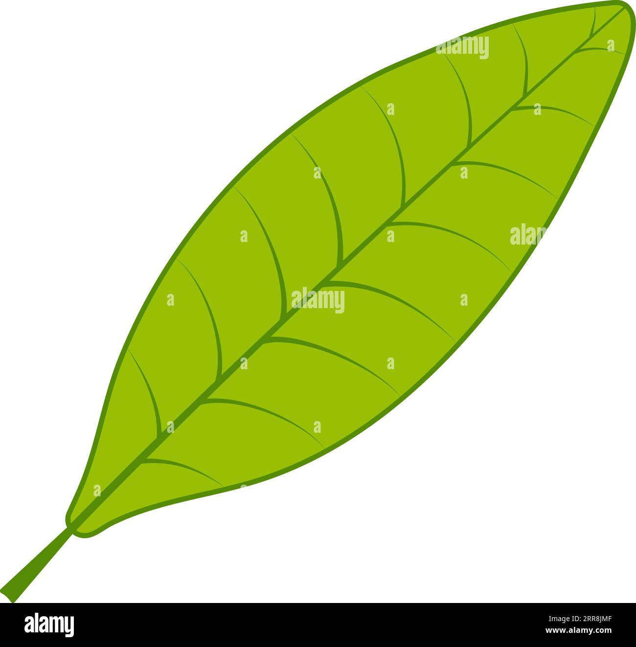 Tea green leaf white background Stock Vector Image & Art - Alamy