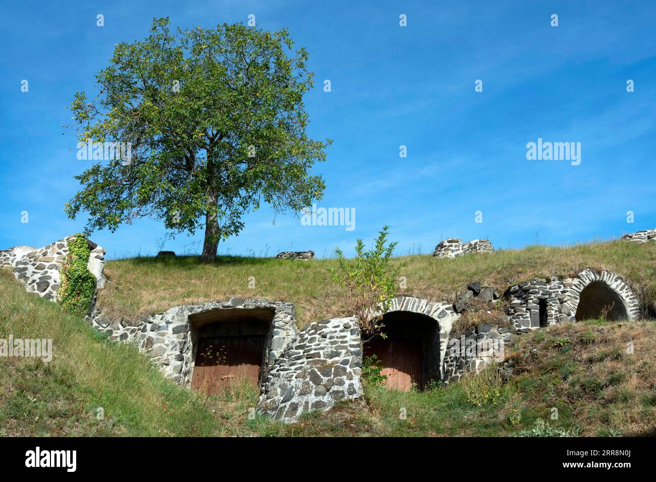 Chateaugay. Wine cellars carved out of the rock. Puy de Dome department. Auvergne Rhone Alpes. France Stock Photo