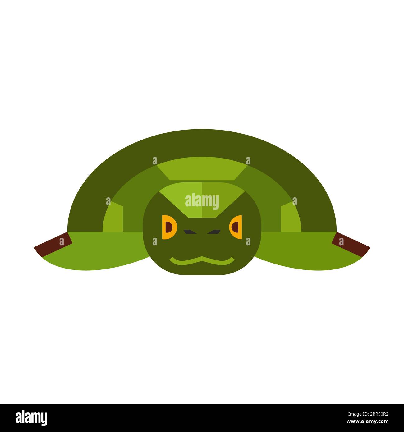 Green sea turtle front view Stock Vector Image & Art - Alamy