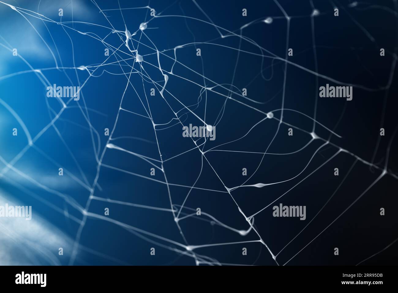 Halloween spider web, blue night background with cobwebs with copy space Stock Photo