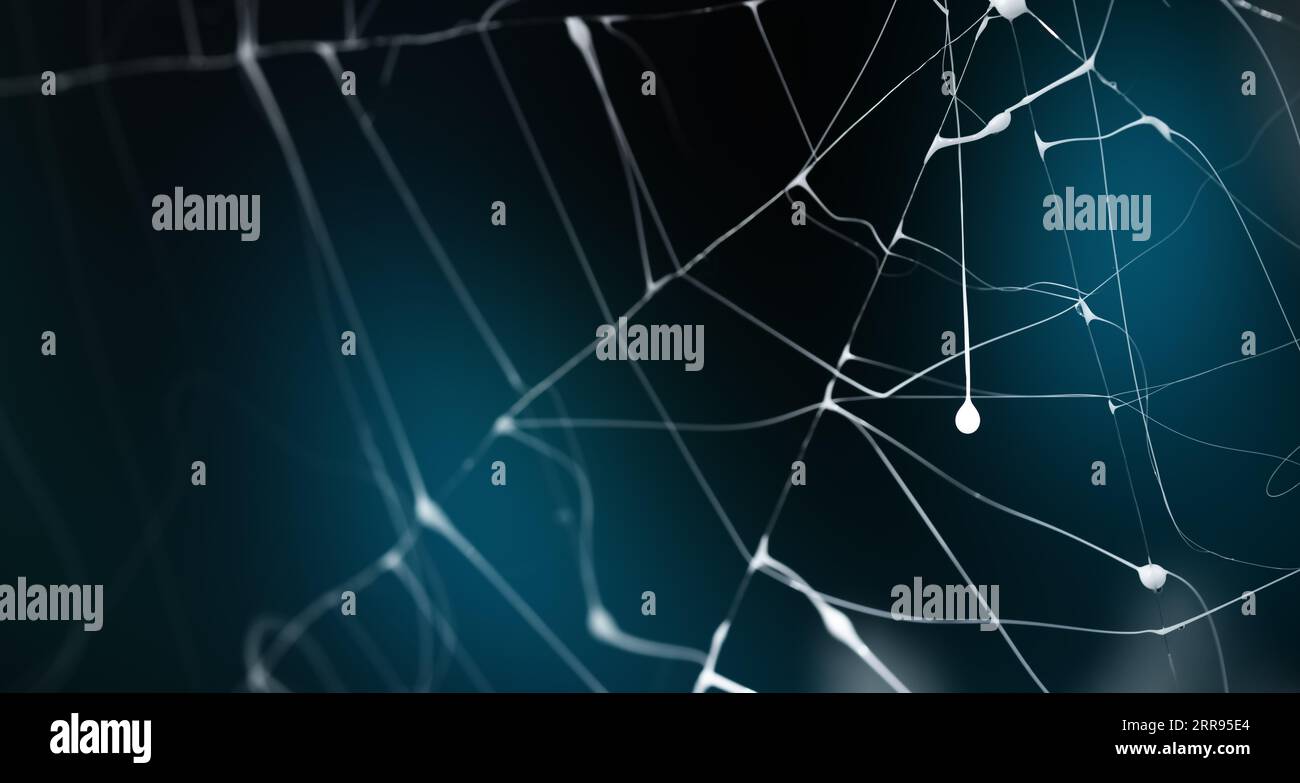 Creepy design, white spider thread texture, insect trap on dark blue ...