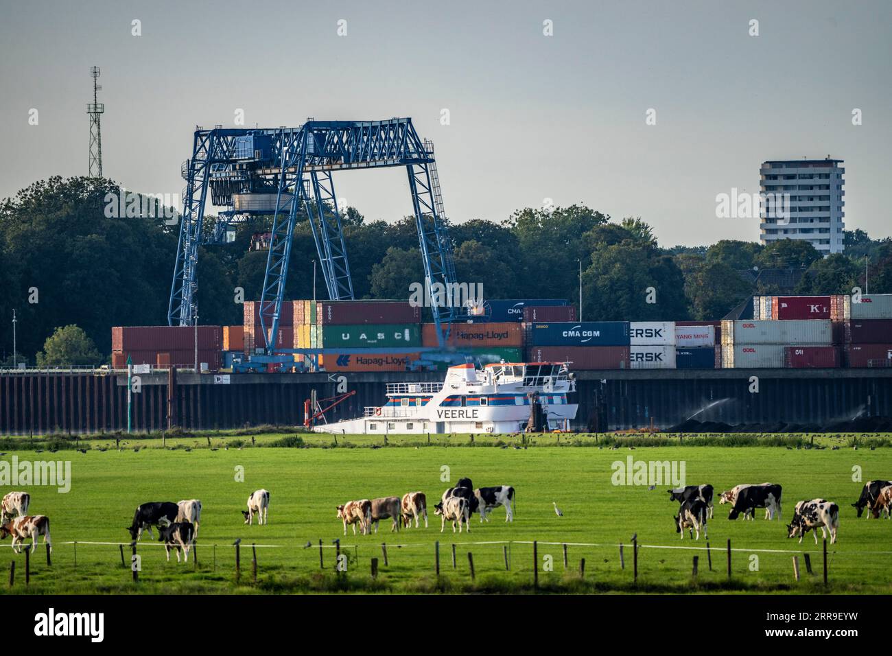 Cargo ship on the Rhine at the height of Emmerich, port of Emmerich ...
