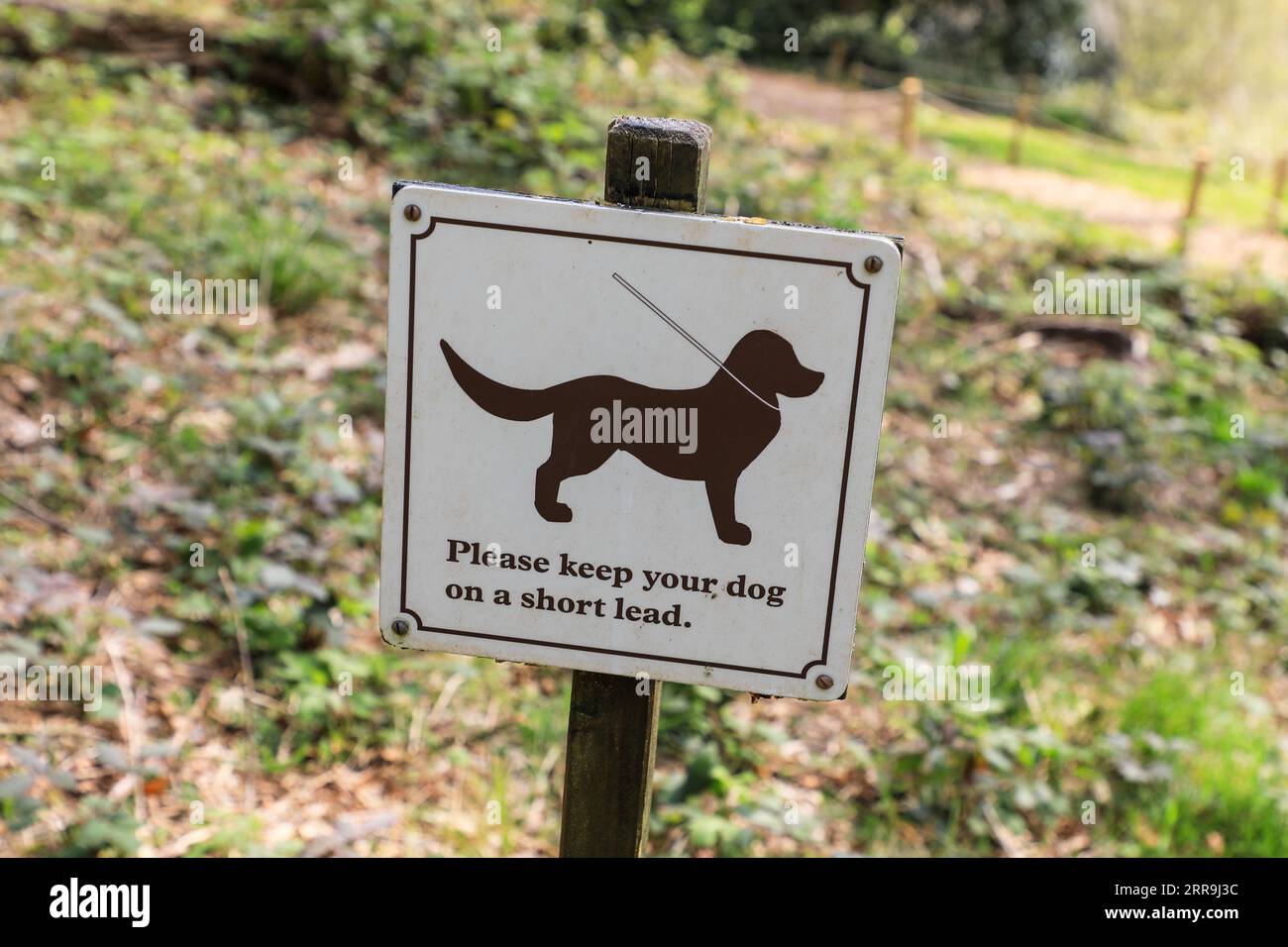 Please leash your dog hotsell