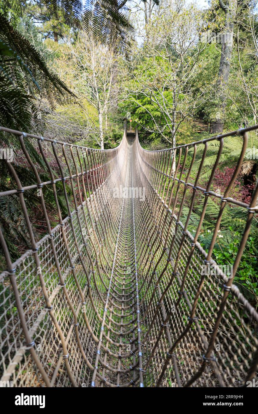 The Burma Rope Bridge at The Lost Gardens of Heligan, Pentewan, St