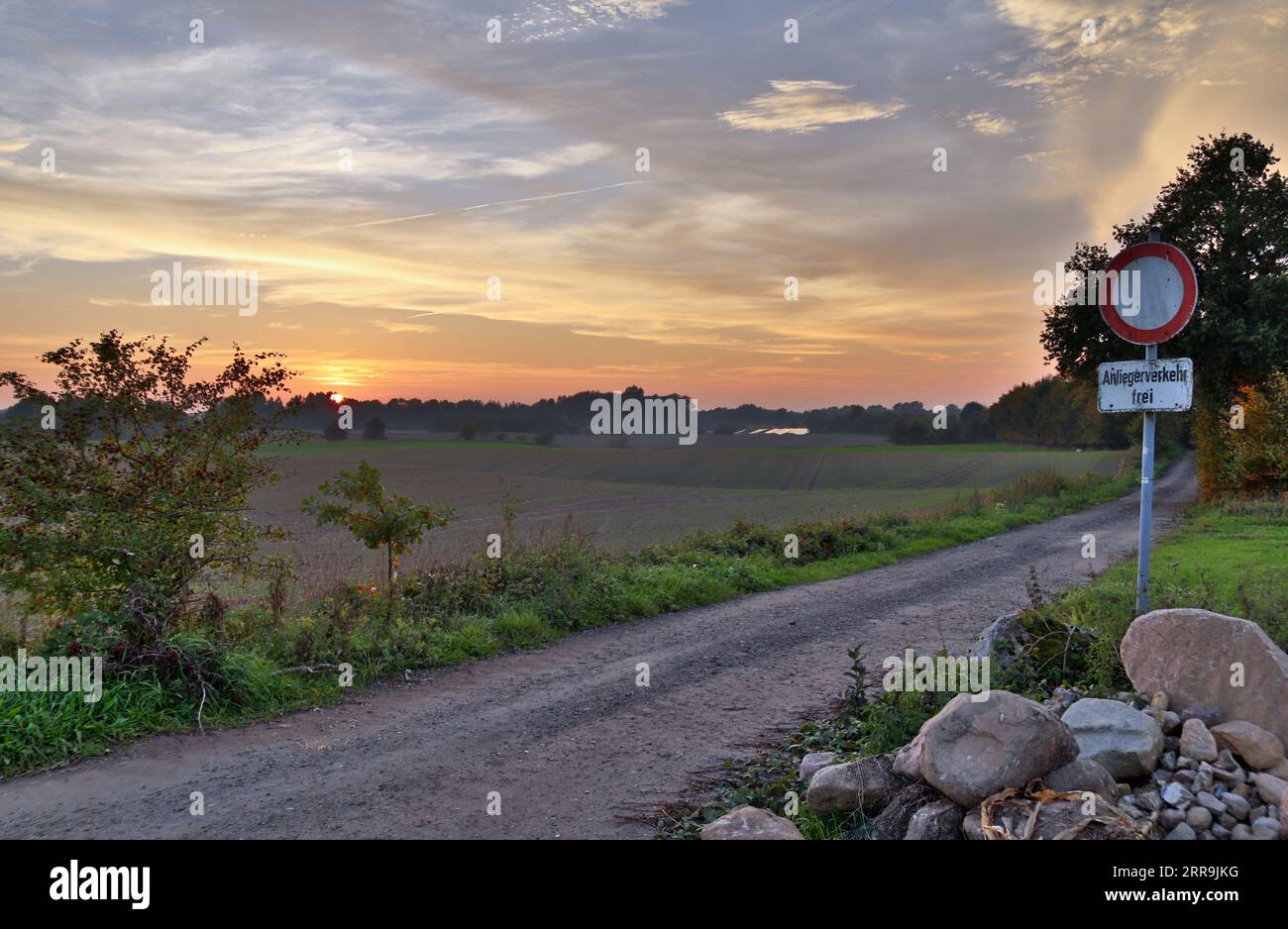 View Of An Agriculturally Used Field With Green Grass Stock Photo