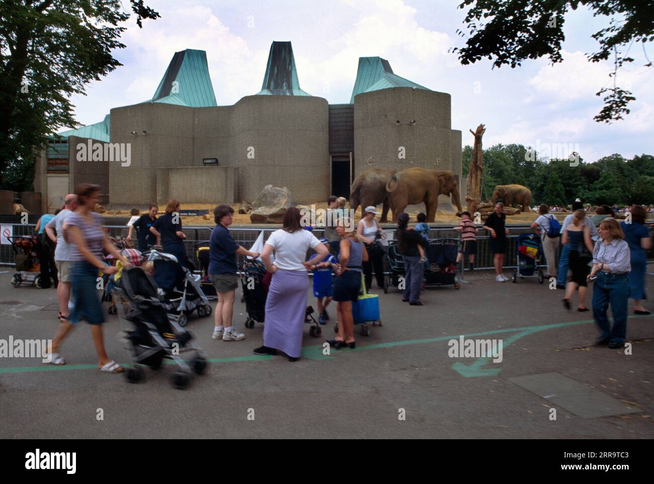 London England Regents Park Zoo Elephants & Crowds. Stock Photo