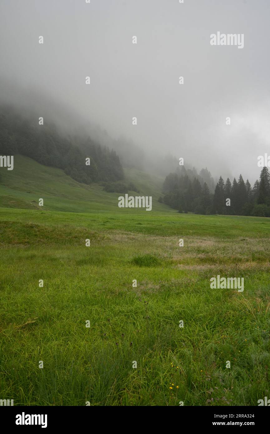 Fog patches  in a mountain landscape in the morning Stock Photo