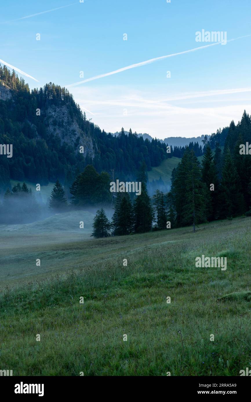 Fog patches  in a mountain landscape in the morning Stock Photo