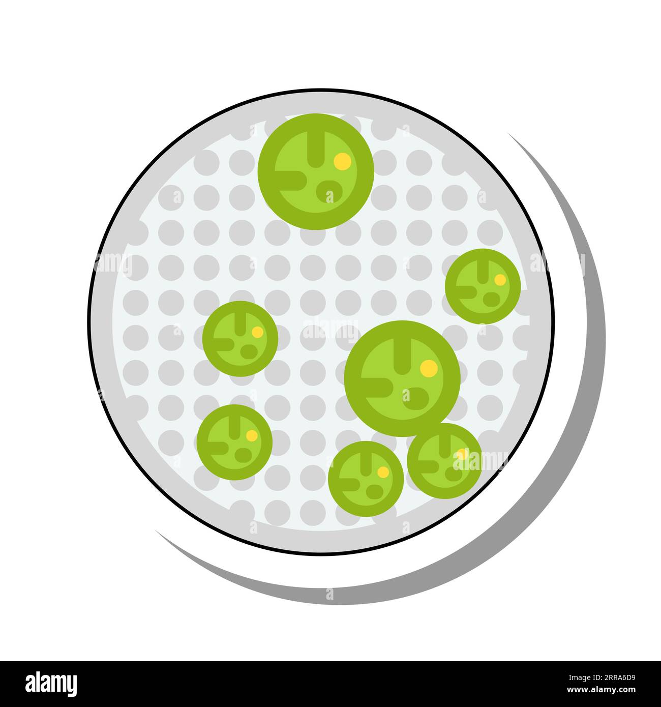 Glass or Petri dish with nutrient solution vector Stock Vector Image