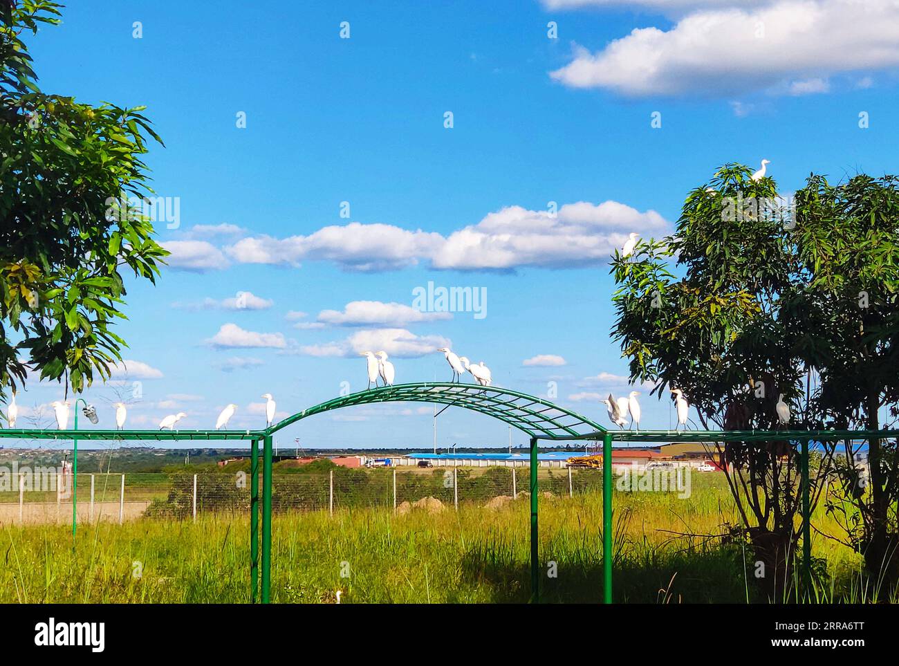 Kolwezi congo hi-res stock photography and images - Alamy