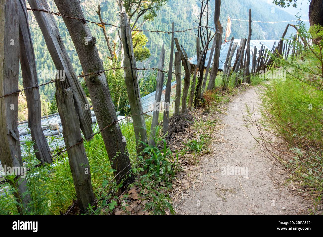 A rustic wooden log fence bordering a Himachal Pradesh farmland, showcasing countryside holistic living in India Stock Photo